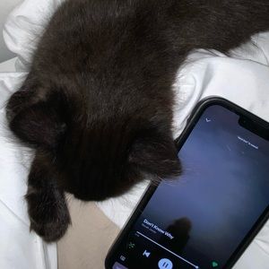 Meet your Posher, Patricia